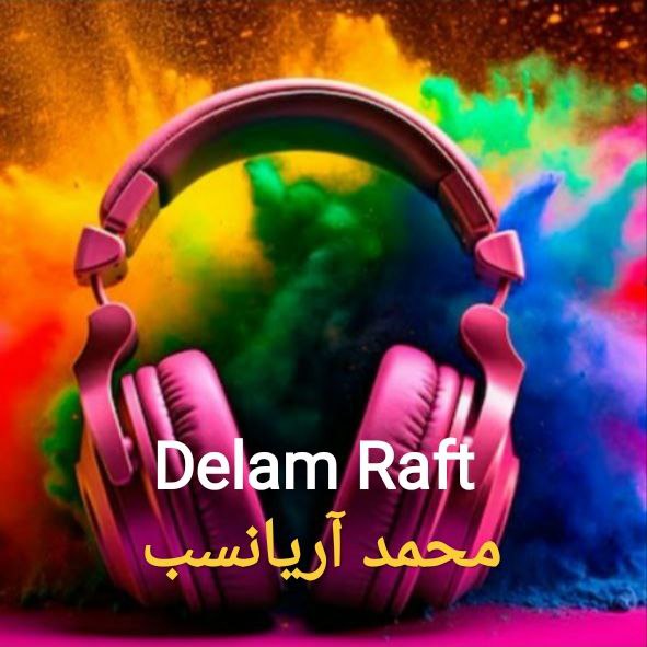 محمد آریانسب دلم رفت